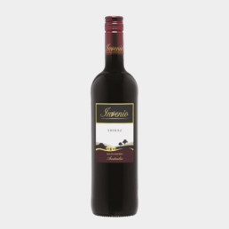 Invenio Shiraz Rødvin